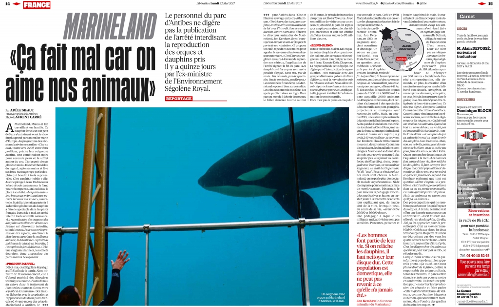 rencontre avec les dauphins marineland pas cher